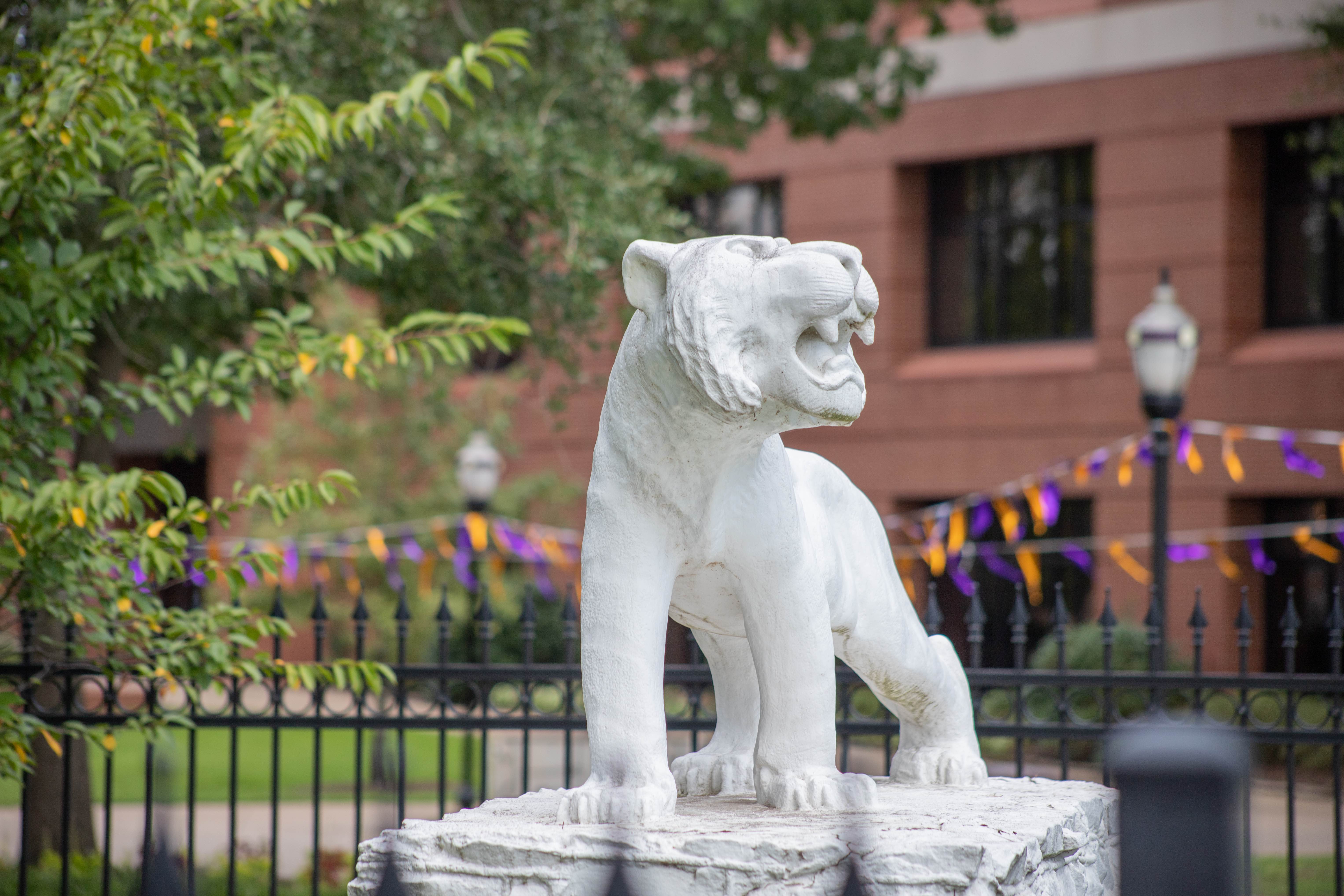 Students guard the beloved tiger statue all week leading up to the Battle of the Ravine.